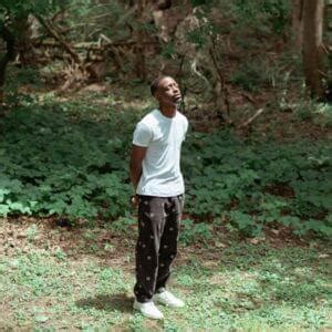Wither — Frank Ocean .